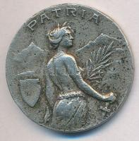 1928. "Somogyvármegye Levente Versenyei / Patria" fém emlékérem (30,5mm) T:2-