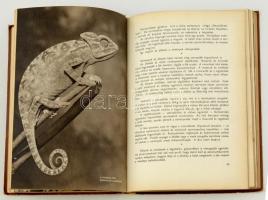 Wiesinger Márton: Állatkerti séta. Bp., 1958, Móra Ferenc Könyvkiadó. Kicsit kopott vászonkötésben, ...