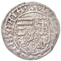 1495. Denár Ag "II. Ulászló" (0,43g) T:2,2-
Huszár: 803. Unger I.: 638.d