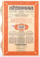 Budapest 1938. "Nitrogen Műtrágya és Vegyiipar Részvénytársaság" tíz részvénye összesen 171P-ről, magyar, román és francia nyelven, szárazpecséttel, bélyegzésekkel és szelvényekkel T:II