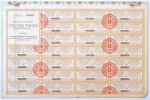 Budapest 1909. "Magyar Rézművek Részvénytársaság" részvénye 100K-ról, magyar és francia ny...