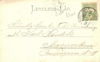 Szászváros, Broos, Orastie; Park és templomok a háttérben, kiadja H. Graef / park and churches in th...