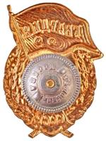 Szovjetunió ~1960-1970. "Szovjet Gárda jelvény" aranyozott, zománcozott fém jelvény csavar...