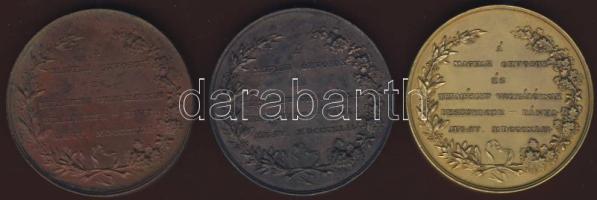 1842."Besztercebánya-Magyar Orvosok és természetvizsgálók..."sor! Br + ezüstözött Br + aranyozott Br 3klf darab T:2 R!