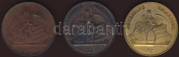 1842."Besztercebánya-Magyar Orvosok és természetvizsgálók..."sor! Br + ezüstözött Br + ara...