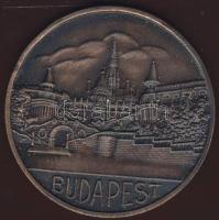 "Budapest" modern egyoldalas matt Br plakett T:2