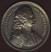 Modern nagyalakú egyoldalú Br plakett "Rákóczi" T:2