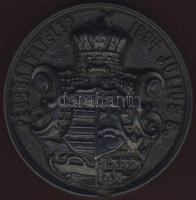 1894. "Pécsbányatelep-A bánya látogatása emlékére"  Br  T:2 ph