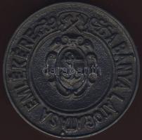 1894. "Pécsbányatelep-A bánya látogatása emlékére"  Br  T:2 ph