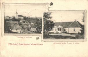 Szentivánlaborfalva, Santionlunca; Templom, Iskola tér, Seethal Ferenc kastélya / church, square, castle, Art Nouveau (fa)