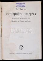 Der Bau des menschlichen Körpers. Anatomische Beschreibung des Menschen für Schule und Haus. Szerk.:...
