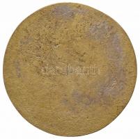 1983. "Ózd - 50km Gyalogló Magyar Bajnokság" Br plakett (110mm) T:2