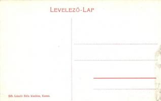 Kassa, Kosice; Andrássy palota, Dr. Holzman és Migály Sándor üzlete, kiadja László Béla / palace (ki...