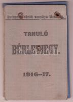 1914-17 Tanuló bérletjegy, Budapesti Közúti Vaspálya Társaság, kilenc bélyeggel, fotóval, kissé viseltes vászon kötésben.