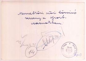 cca 1950 Kardvívó verseny, Nemzetközi női kardvívó verseny a Sportrcsarnokban, a hátán felíratozva, ...