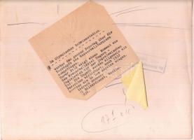 1936 Magyarország-Jugoszlávia vizilabda mérkőzés, berlini olimpia, sajtófotó, a hátoldalán feliratoz...