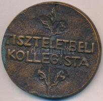 ~1970-1980. "LFP(?) / Tiszteletbeli kollégista" Br emlékérem (59,5mm) T:2 patina