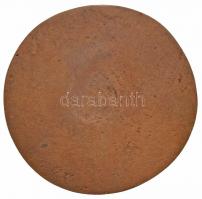 Asszonyi Tamás (1942- ) 1977. "Nőalak" Br plakett (76mm) T:2