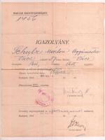 1918 Magyar haditengerészeti igazolás leszerelt ágyúmester részére a világháború végén.