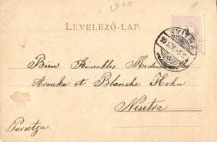 1899 Székesfehérvár, Városháza tér, Lővy üzlete, kiadja Kubik L. (EK)