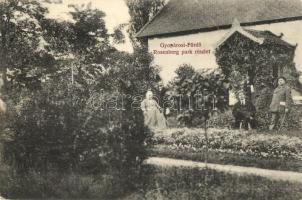 5 db RÉGI magyar és történelmi magyar városképes lap; Pozsony, Mór, Nagykálló, Veszprém, Gyopárosfür...