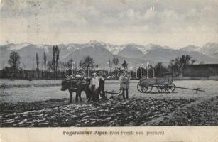 3 db RÉGI erdélyi városképes lap; Fogarasi havasok, Tusnádfürdő, Gyergyószentmiklós / 3 pre-1945 Transylvanian town-view postcards
