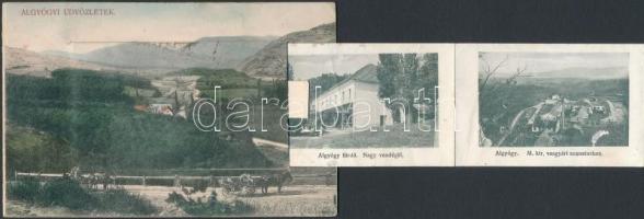 Algyógy, Geoagiu; Látkép, vasgyári szanatórium, komp, leporelló képeslap, Adler fényirda kiadása / g...