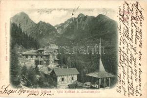 Tátra, Magas Tátra, Vysoké Tatry; Kohlbach-Szálloda, Lomnici csúcs, Stengel & Co. 8930 / hotel, mountain peak (EK)