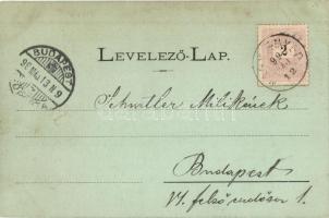 1899 Nagyenyed, Aiud; Látkép, völgy / general view, valley, floral, Art Nouveau (apró tűnyom / pinho...