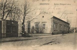 Nagyvárad, Oradea; Kórház utca / street ( ázott sarok / wet corner)