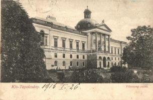 Kistapolcsány, Topolcianky; Főhercegi palota / royal palace (kis szakadás / small tear)