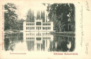 Kolozsvár, Cluj; Sétatéri tó, Korcsolya csarnok, Dunky Fivérek kiadása / lake, ice skating hall