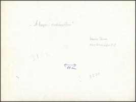 1969 Vincze János (1922-1998): Bugaci erdőszélen, feliratozott vintage fotóművészeti alkotás, 18x23,...