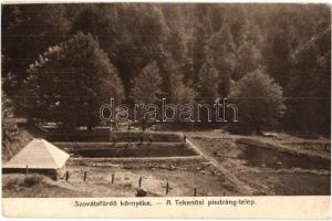 Szovátafürdő, Sovata; Tekenösi pisztráng telep, kiadja Borbély Gyula / trout pond, fish farm (ázott sarok / wet corner)