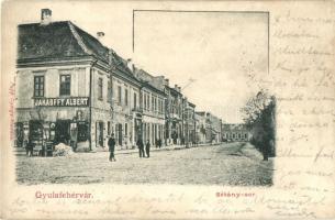Gyulafehérvár, Alba Iulia; Sétány sor, Jakabffy Albert üzlete, kiadja Papp György / street, shop (vágott / cut)