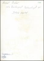 cca 1973 Zsigri Oszkár (1933-?): Juhász portré, feliratozott vintage fotóművészeti alkotás, 24x17,5 ...