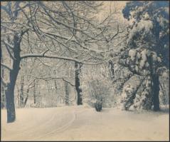 cca 1930 Budapest, János-hegy, 4 db feliratozott vintage fotó, 18x21 cm és 24x18 cm között