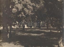 cca 1930 Budapest, János-hegy, 4 db feliratozott vintage fotó, 18x21 cm és 24x18 cm között