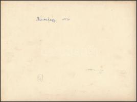 cca 1930 Budapest, János-hegy, 4 db feliratozott vintage fotó, 18x21 cm és 24x18 cm között