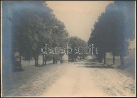 cca 1930 Bakonyi vízimalom és bakonyi tájak, 3 db feliratozott vintage fotó, 12x17 cm és 18x24 cm között