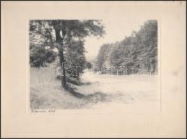 cca 1930 Bakonyi vízimalom és bakonyi tájak, 3 db feliratozott vintage fotó, 12x17 cm és 18x24 cm kö...