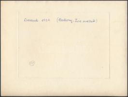 cca 1930 Bakonyi vízimalom és bakonyi tájak, 3 db feliratozott vintage fotó, 12x17 cm és 18x24 cm kö...