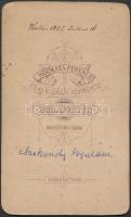 1882 Szekendy Gyuláné vizitkártya méretű, feliratozott fényképe Kozmata budapesti műterméből, a vere...