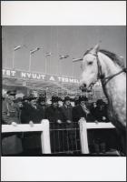 cca 1947 Tildy Zoltán (1889-1961) köztársasági elnök, Tiszavölgyi József (1909-?) fotóriporter hagya...