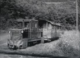 cca 1950 Kisvasút a hegyek között, vintage negatív mai nagyítása, 16x22 cm