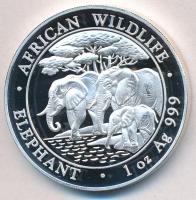 Szomália 2013. 100Sh Ag "Afrikai vadvilág / Elefánt" (1oz/0.999) T:PP Somali Republic 2013. 100 Shillings Ag "African Wildlife - Elephant" (1oz/0.999) C:PP