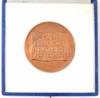 Borsos Miklós (1906-1990) DN "Fa és Papiripari Szövetkezetek Szövetsége" Br plakett, erede...