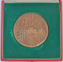 Borsos Miklós (1906-1990) 1984. "Budapesti Könnyűipari Szövetkezetek Szövetsége" Br plaket...