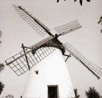 1980 Kiskundorozsmai szélmalomról készült 7 db szabadon felhasználható negatív, 6x6 cm