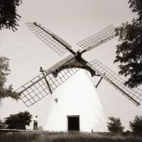 1980 Kiskundorozsmai szélmalomról készült 7 db szabadon felhasználható negatív, 6x6 cm